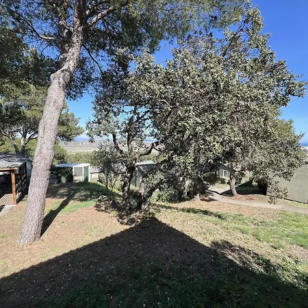 Charmant Chalet 3 Pieces Avec Piscine, Parking, A Mont Saint Loup. - Fr-1-702-63 Dağ evi *